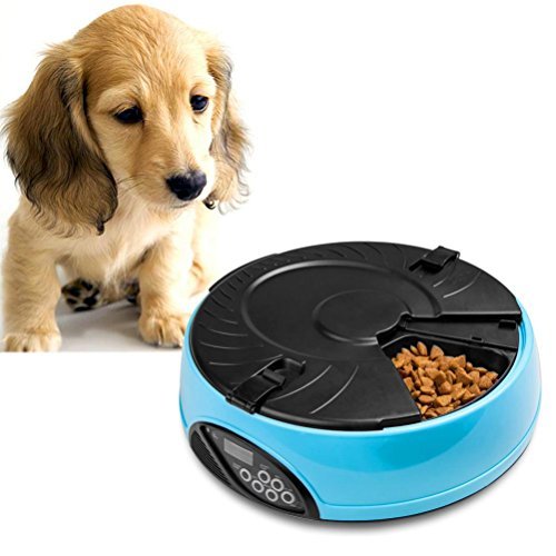 best automatic feeder for cats